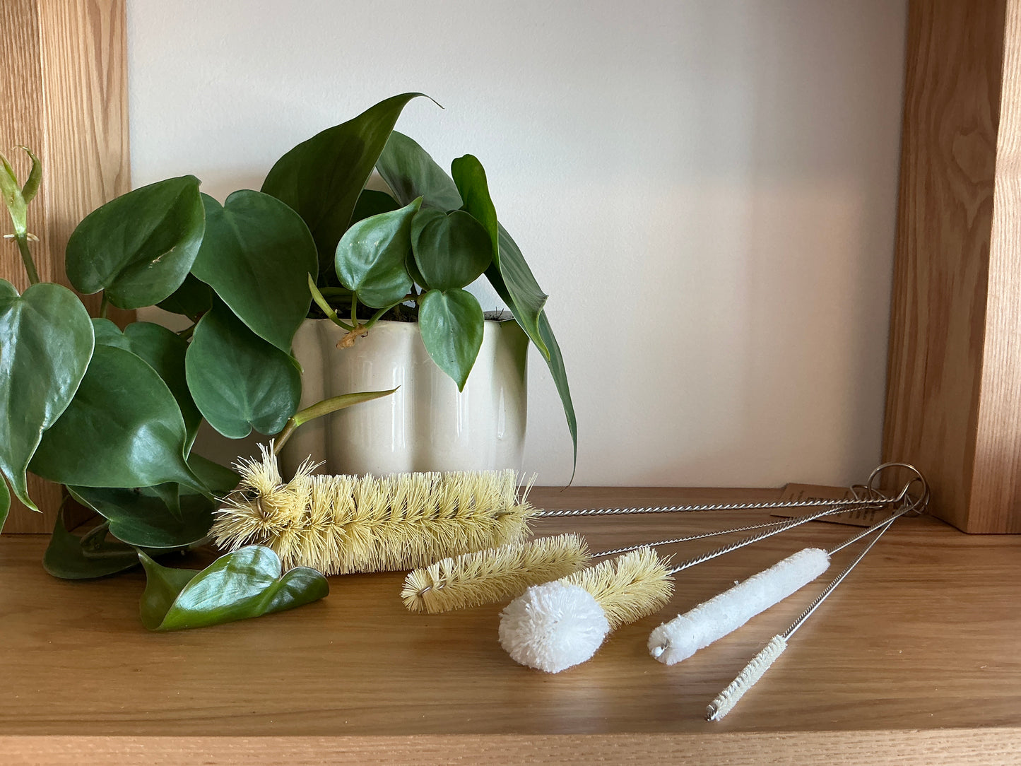 Plantish: Bottle Brush Set