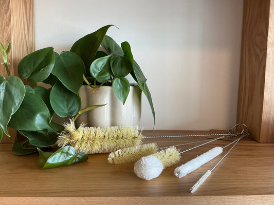 Plantish: Bottle Brush Set