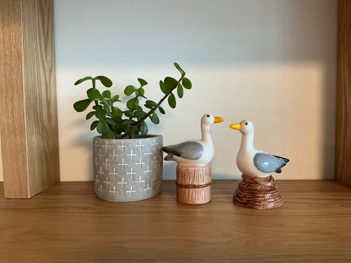 Seagull Salt & Pepper
