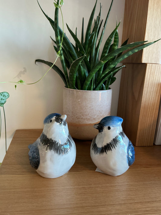 Blue Jay Salt & Pepper Shakers