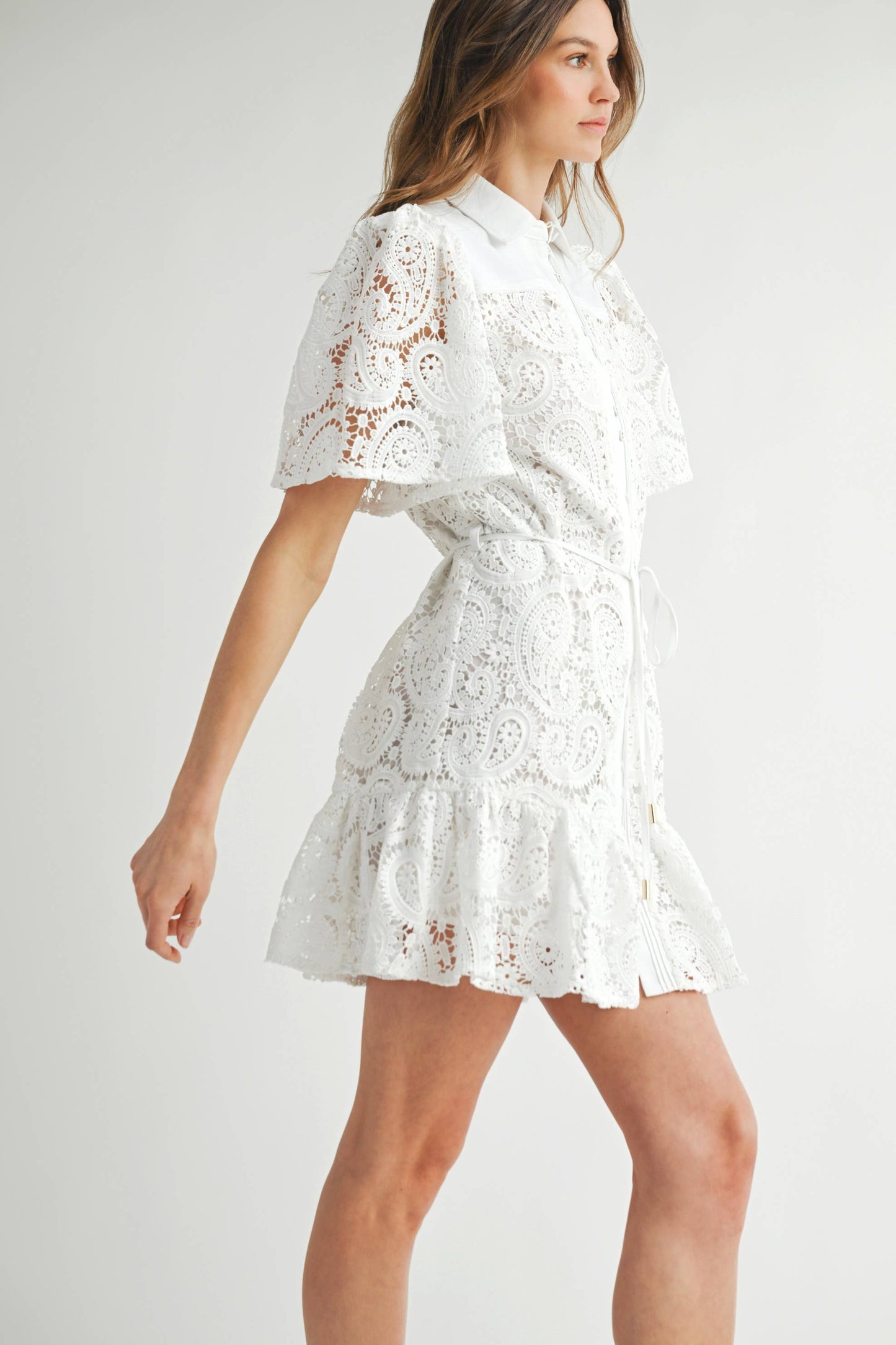 BLAINE: Lace Collared Mini Dress