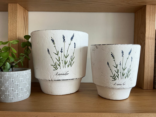 Cement Flower Pot: Lavender set of 2
