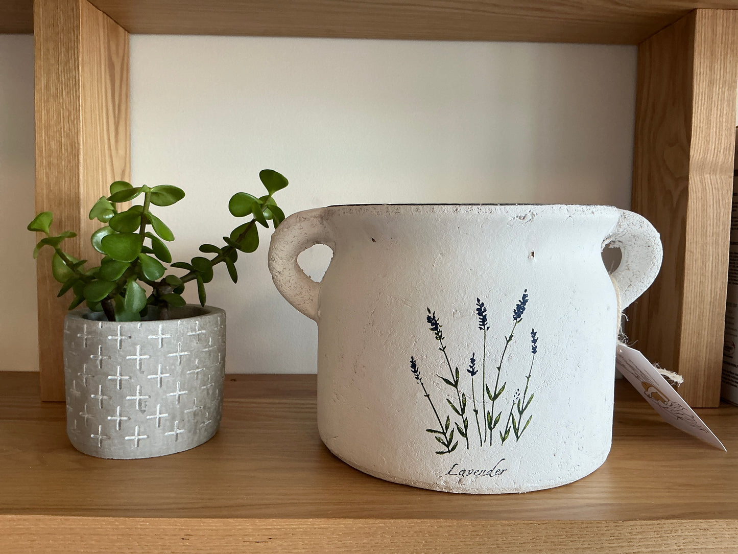 Terracotta Pot Planter: Lavender