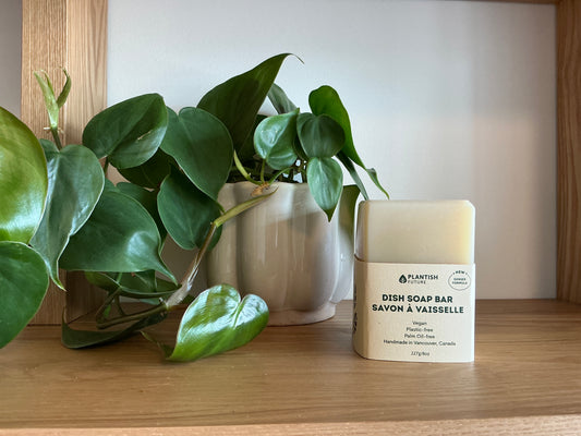 Plantish: Dish Soap Bar