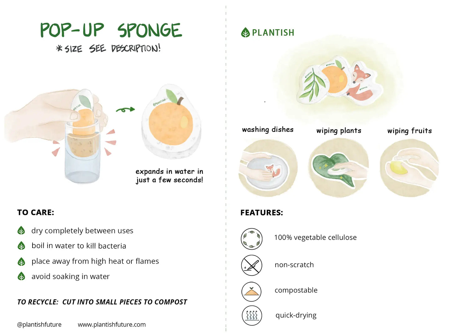 Pop up sponge (sold individually)