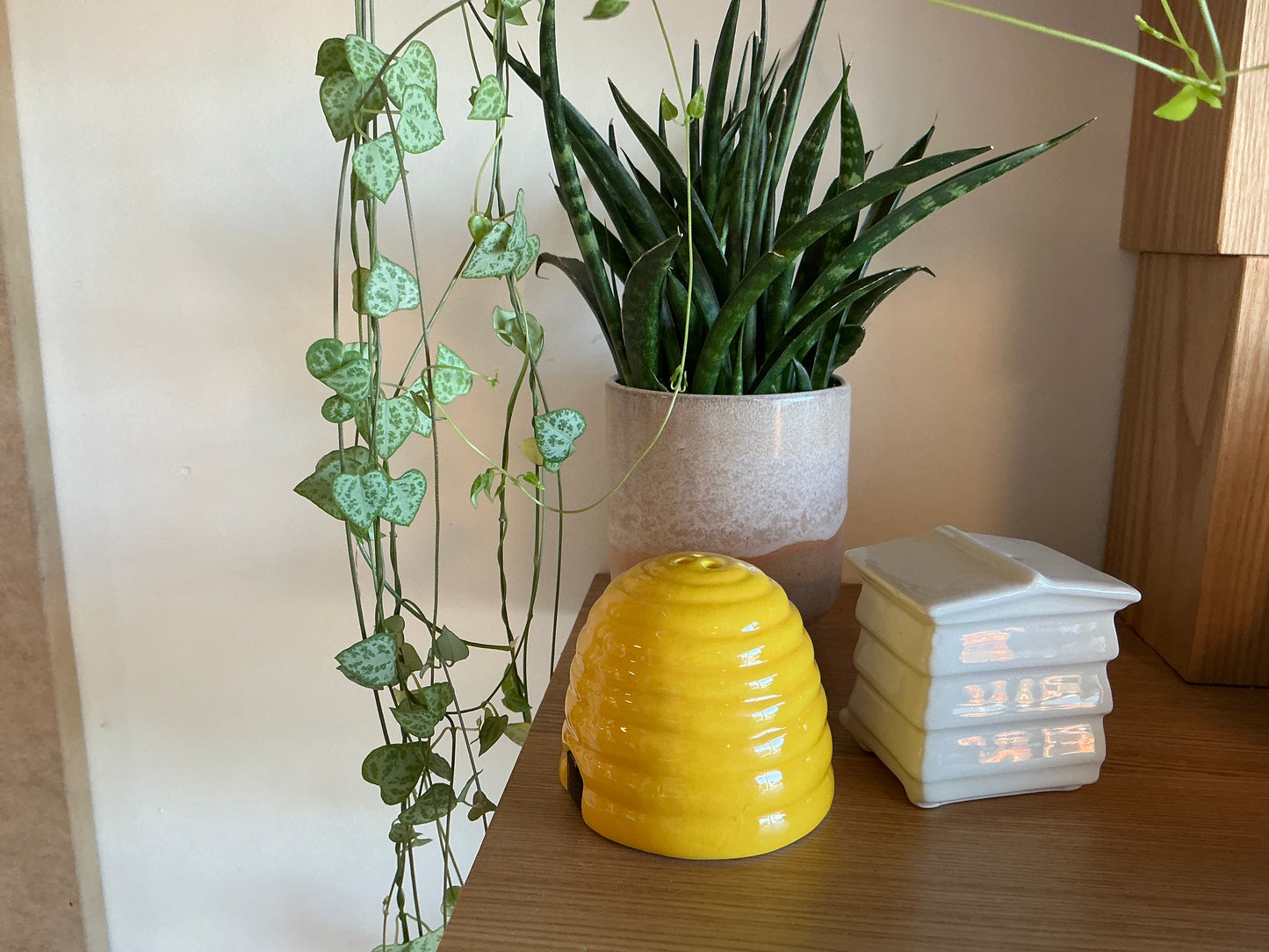 Beehive Salt & Pepper Shaker