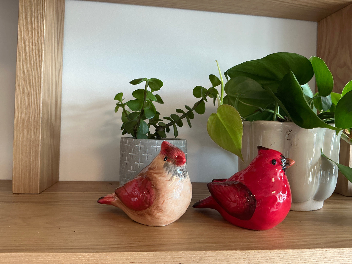 Cardinals Salt & Pepper Shaker
