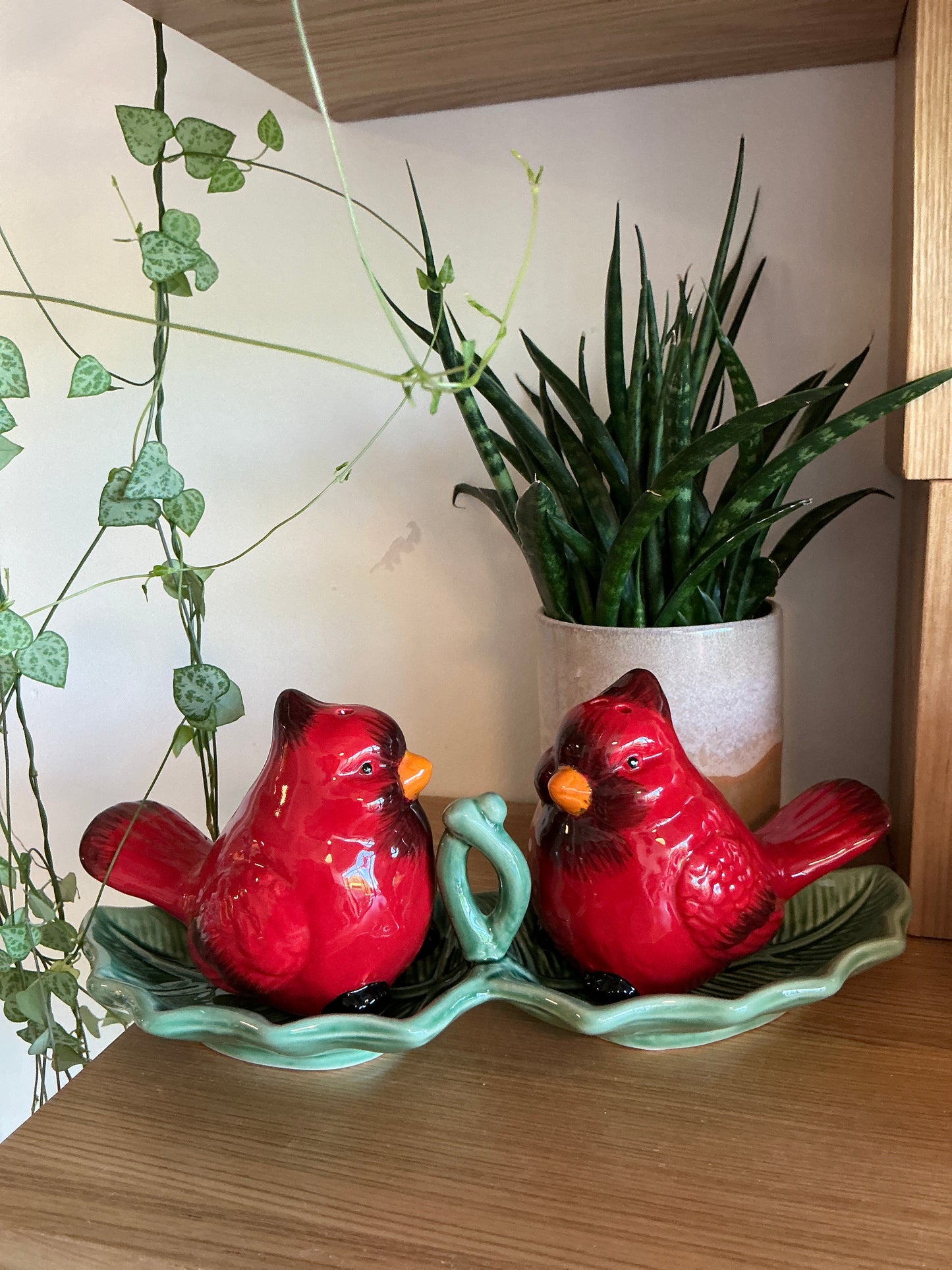 Cardinal on Tray S&P