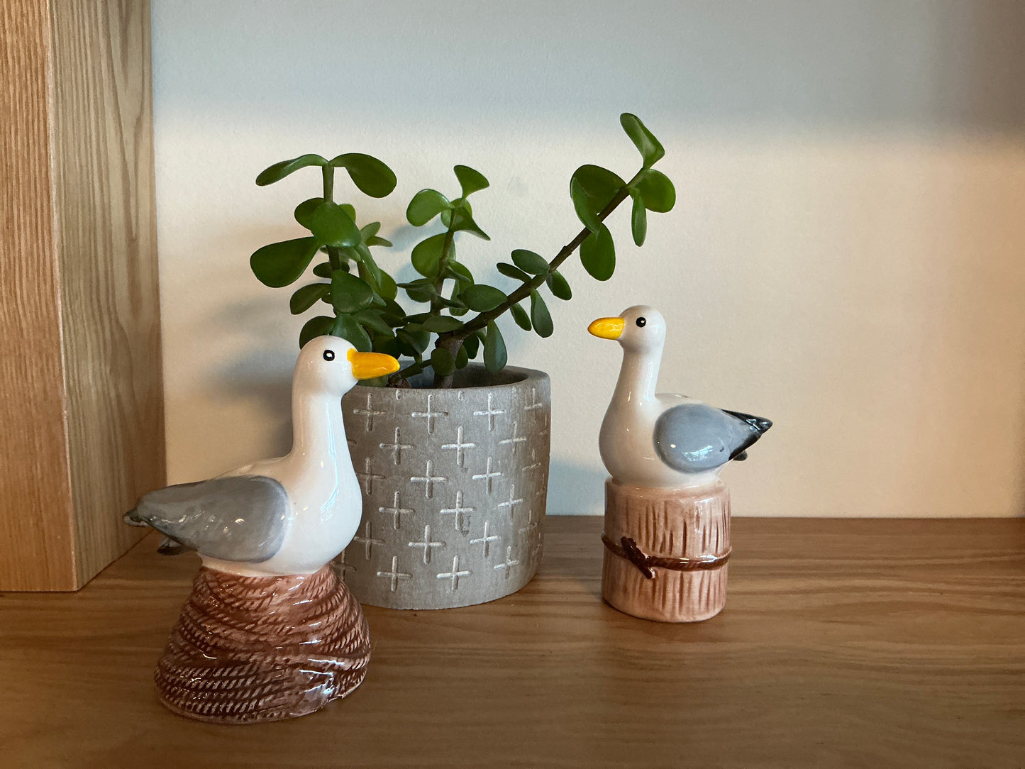 Seagull Salt & Pepper