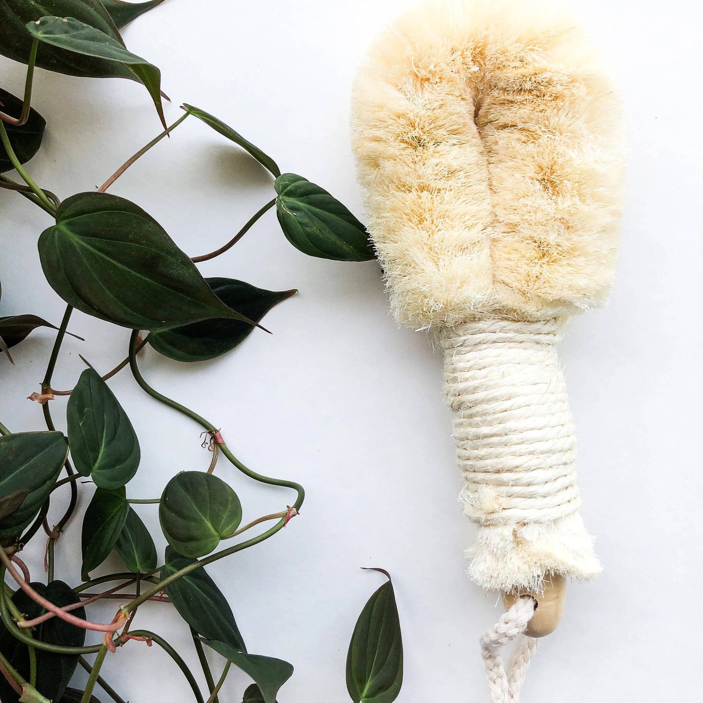 Natural Sisal Dry Brush - Sustainable Eco Friendly