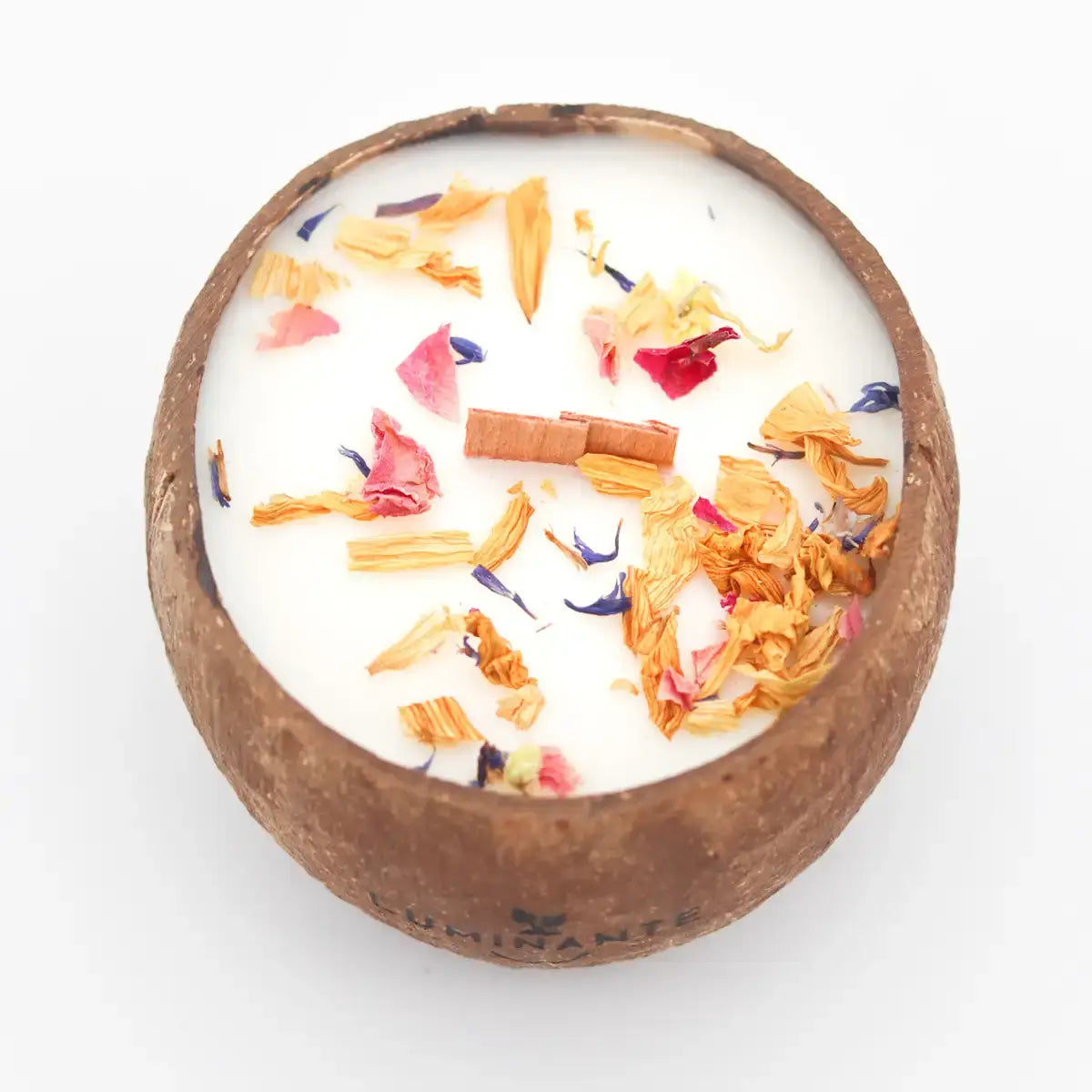 Coconut Candle - Grows into a plant - Mango Papaya