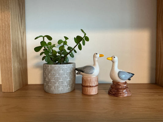Seagull Salt & Pepper