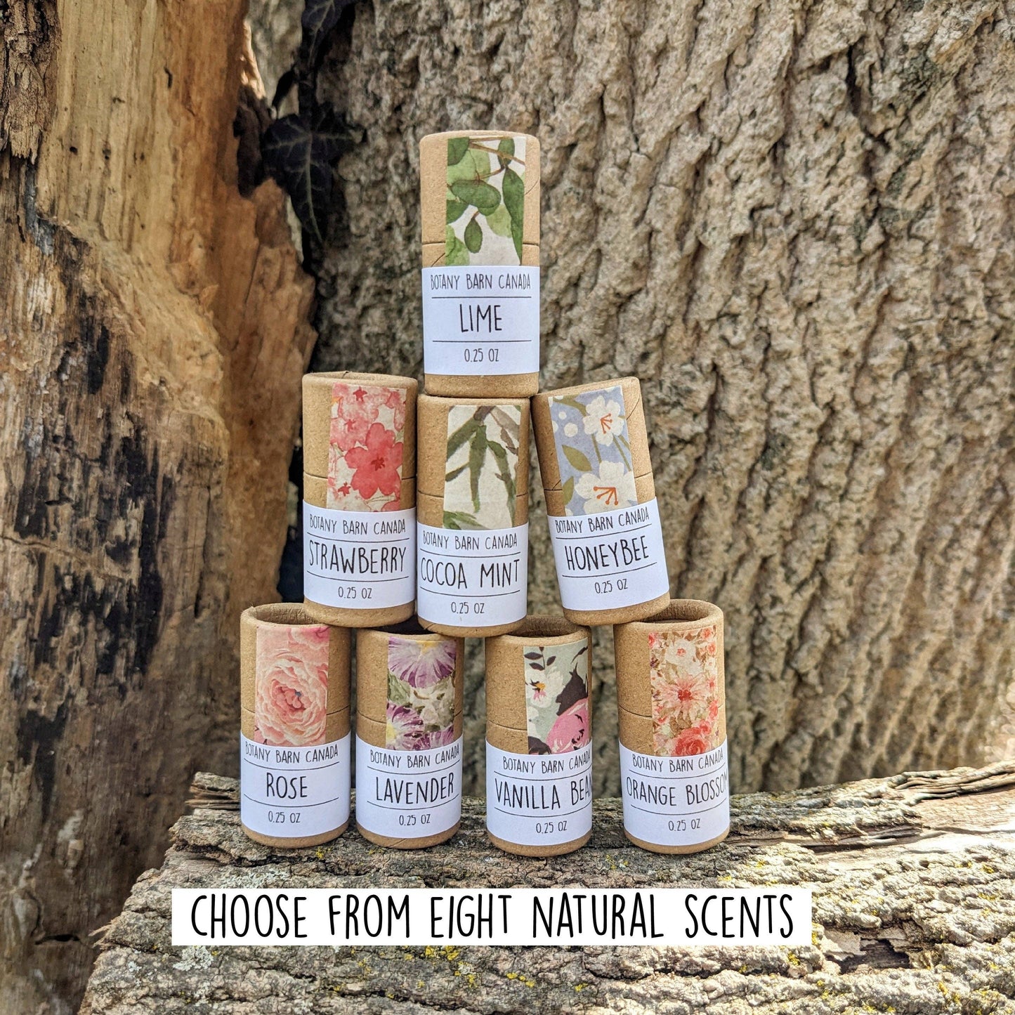 Natural Lip Balm | Handmade Organic Lip Balm in Eco Tube