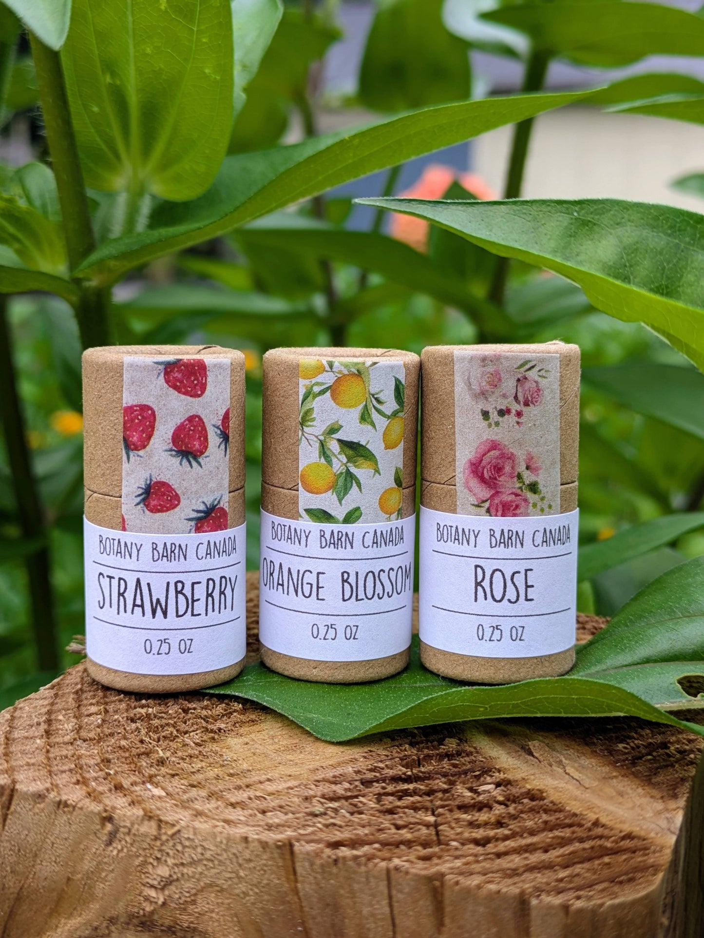 Natural Lip Balm | Handmade Organic Lip Balm in Eco Tube