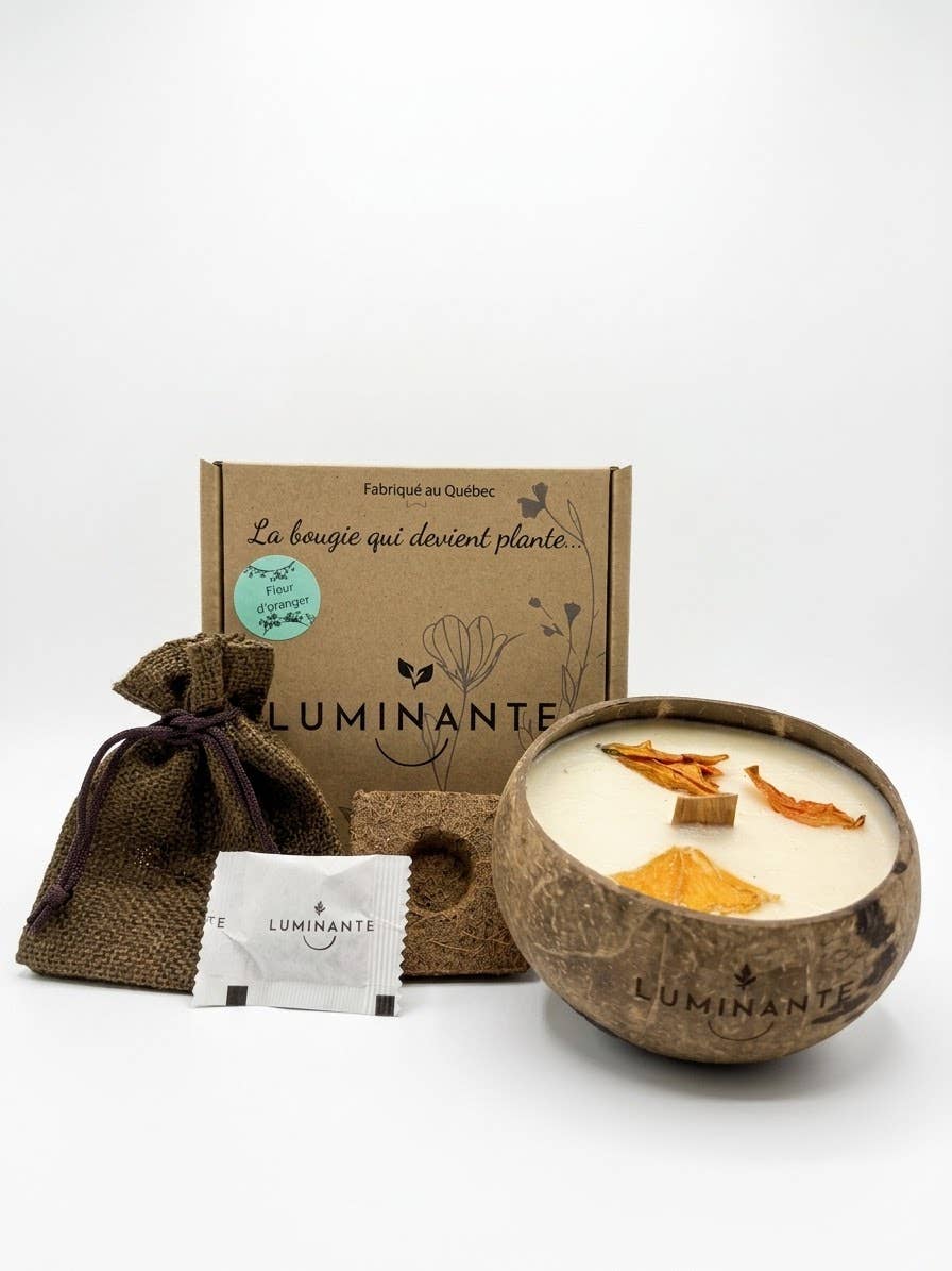 Coconut Candle-Grows into a plant-Orange Blossom