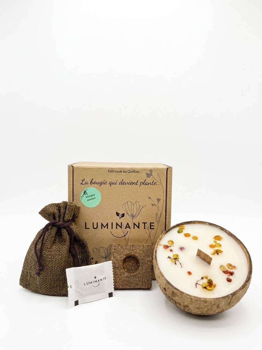 Coconut Candle - Grows into a plant - Mango Papaya