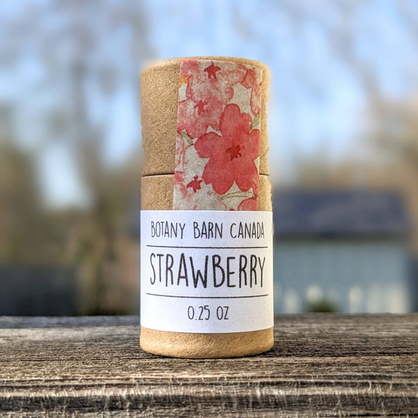 Natural Lip Balm | Handmade Organic Lip Balm in Eco Tube