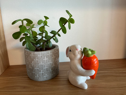 Bunny & Carrot Salt & Pepper Shaker