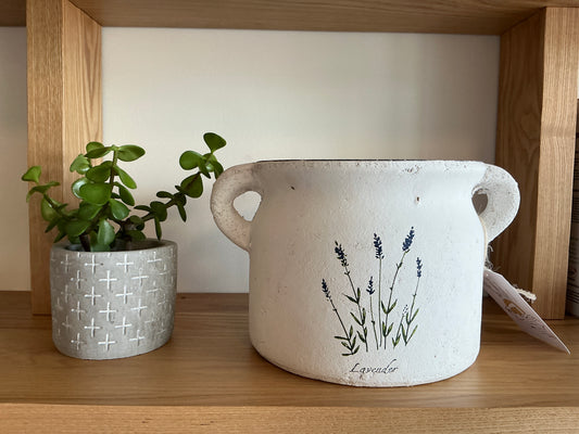 Terracotta Pot Planter: Lavender