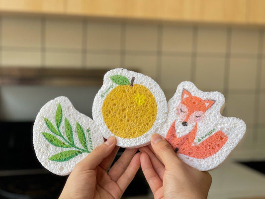 Pop up sponge (sold individually)
