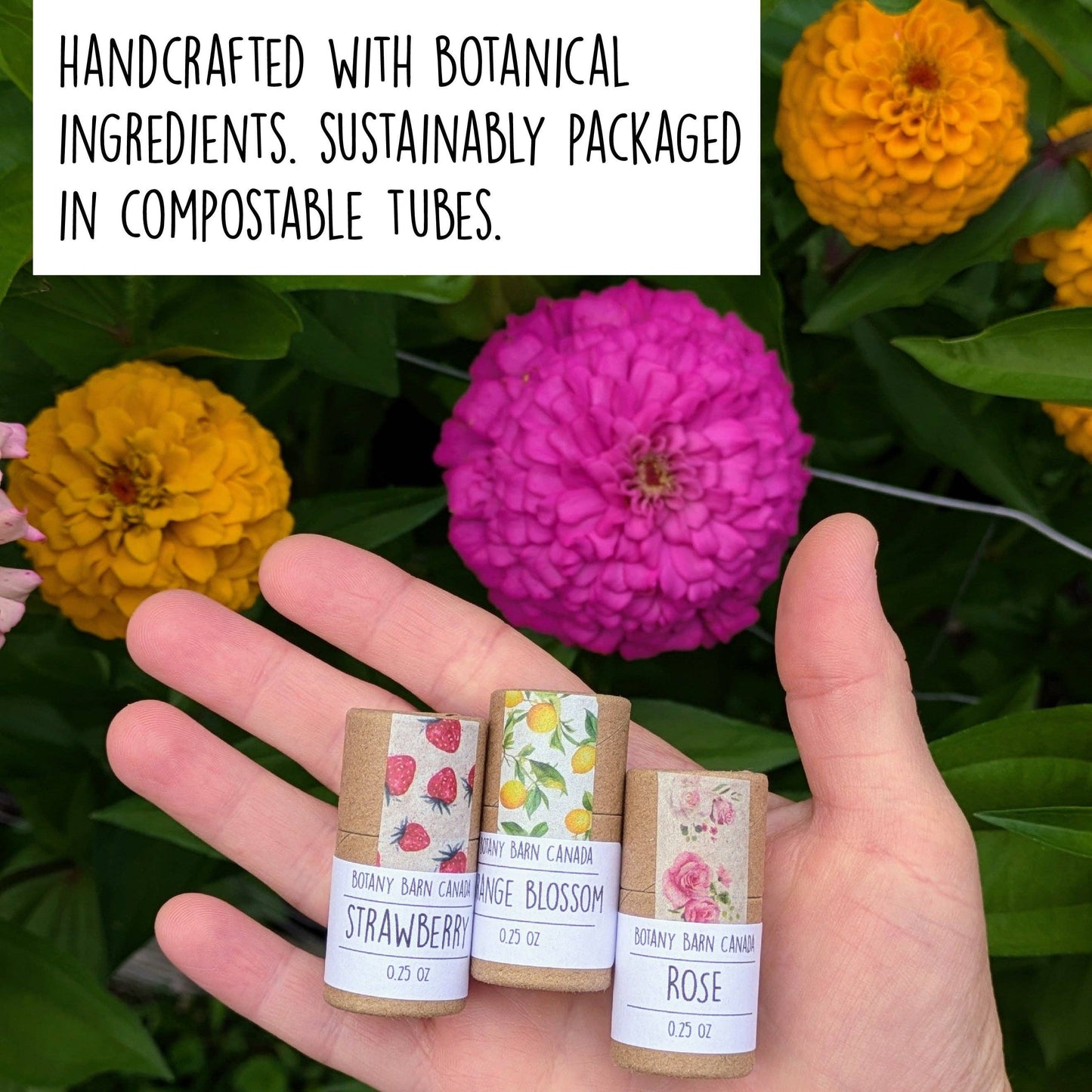 Natural Lip Balm | Handmade Organic Lip Balm in Eco Tube