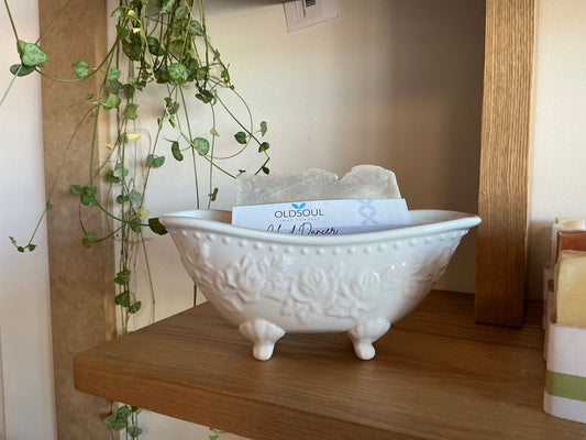 Bath tub soap dish