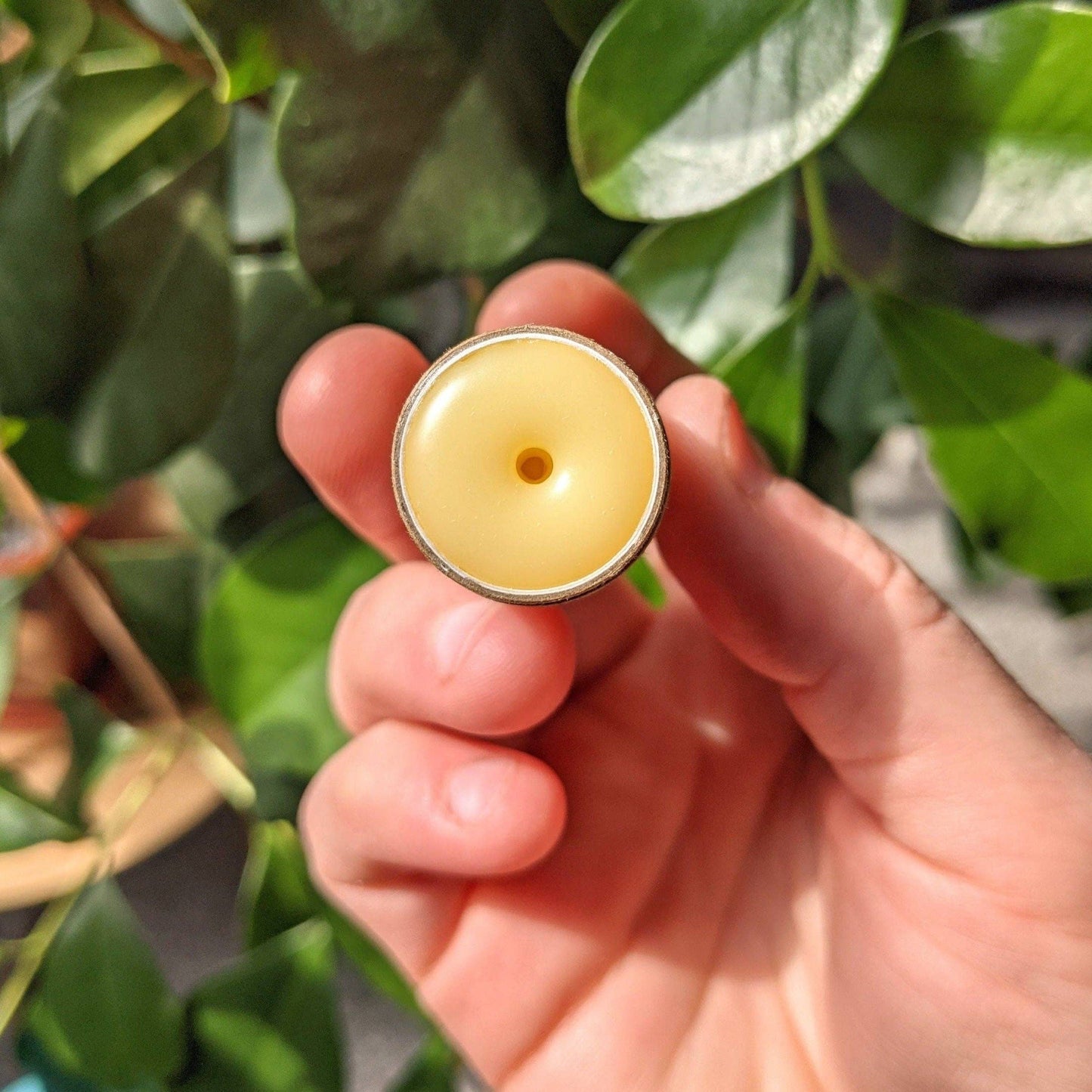 Natural Lip Balm | Handmade Organic Lip Balm in Eco Tube