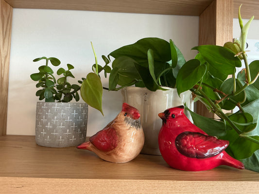 Cardinals Salt & Pepper Shaker