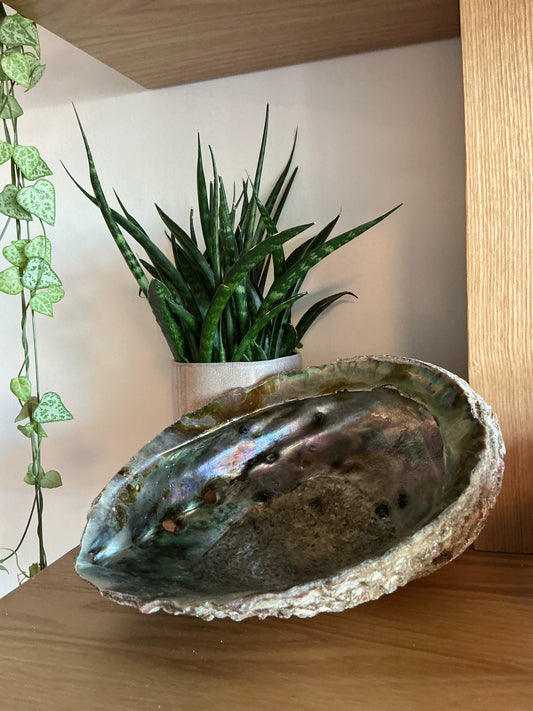 Handcrafted shells