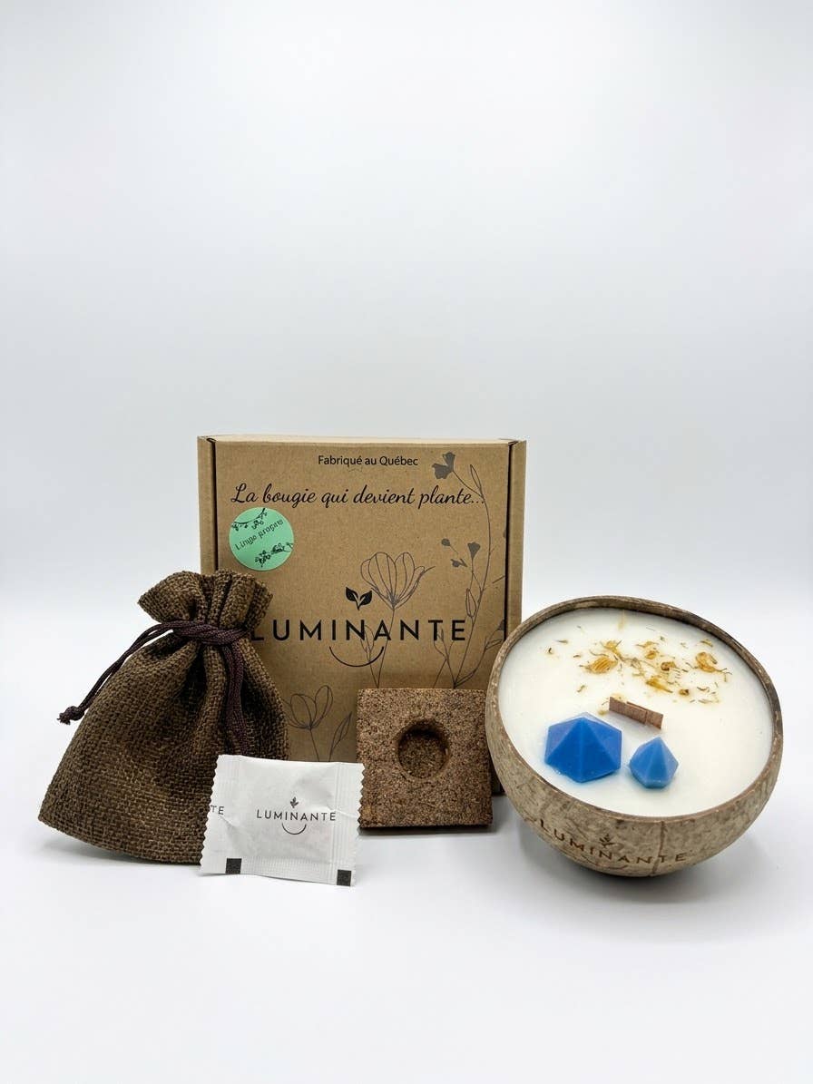 Coconut Candle-Grows intoplant-Clean Linen