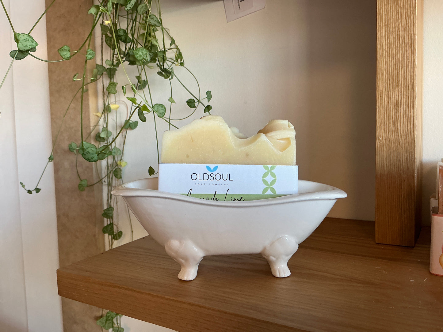 Bathtub soap dish