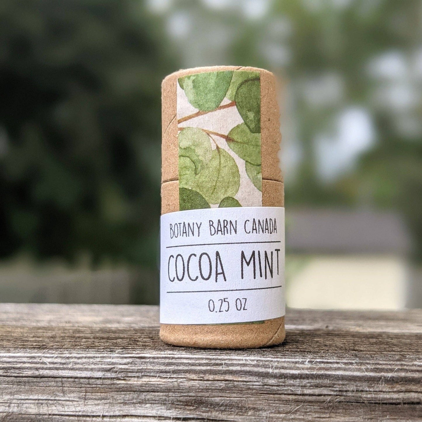 Natural Lip Balm | Handmade Organic Lip Balm in Eco Tube