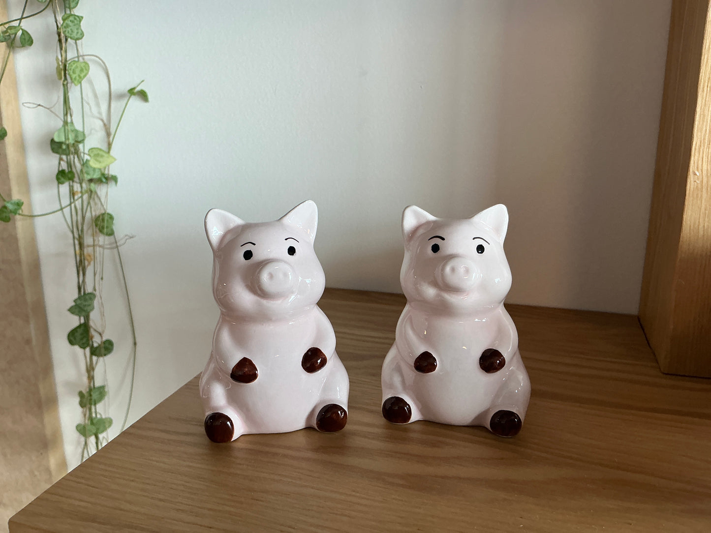 Piggy Salt & Pepper Shaker