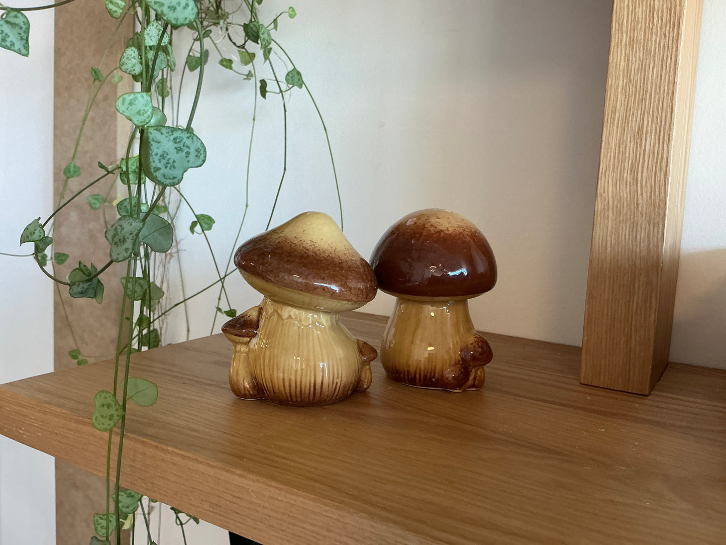 Mushroom Salt & Pepper Shakers Brown