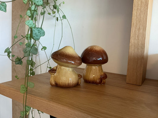 Mushroom Salt & Pepper Shakers Brown