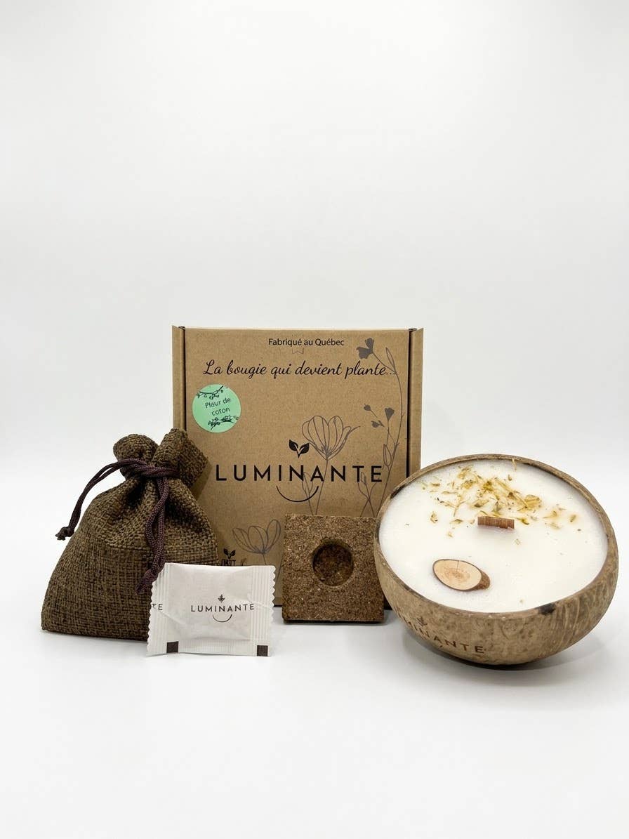 Coconut Candle-Grows into a plant-Cotton Flower